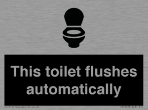 This toilet flushes automatically